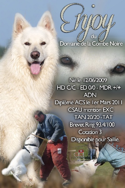 Enjoy Du domaine de la combe noire - Brevet Ring 93,40/100