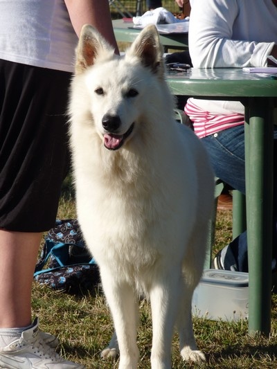 Enjoy Du domaine de la combe noire - 1er excellent et confirmé