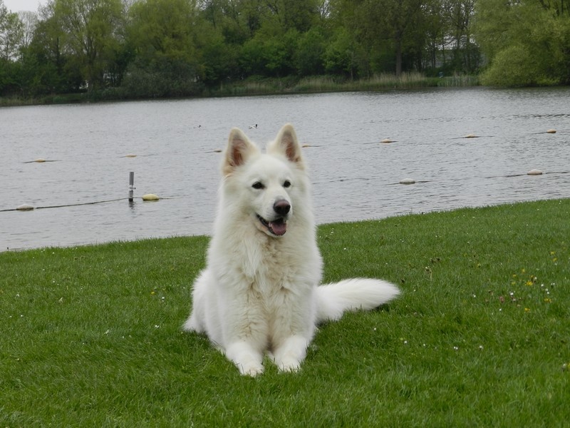 Enjoy Du domaine de la combe noire - 1 er excellent RCACS