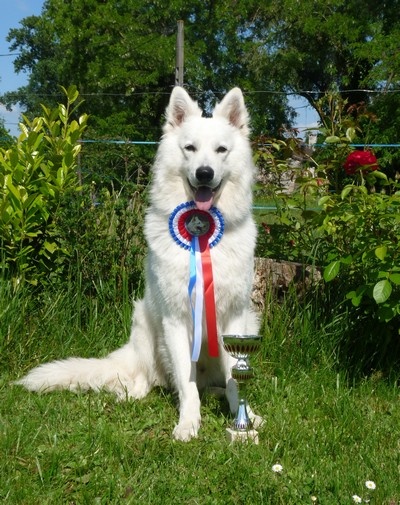 Enjoy Du domaine de la combe noire - 5eme Excellent et 1 er Meilleur couple avec Carat du Domaine de la Combe Noire