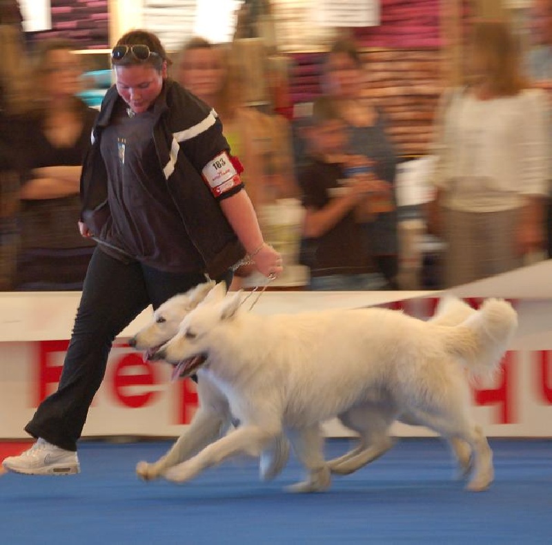 Enjoy Du domaine de la combe noire - 2 éme Meilleur couple avec Enjoy et Baby Doll du Domaine de la Combe Noire