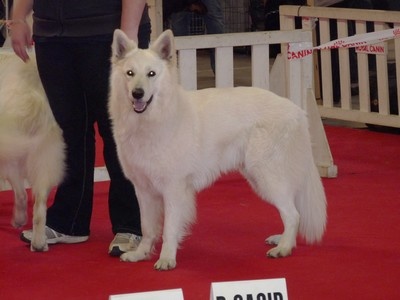 Enjoy Du domaine de la combe noire - 1er excellent