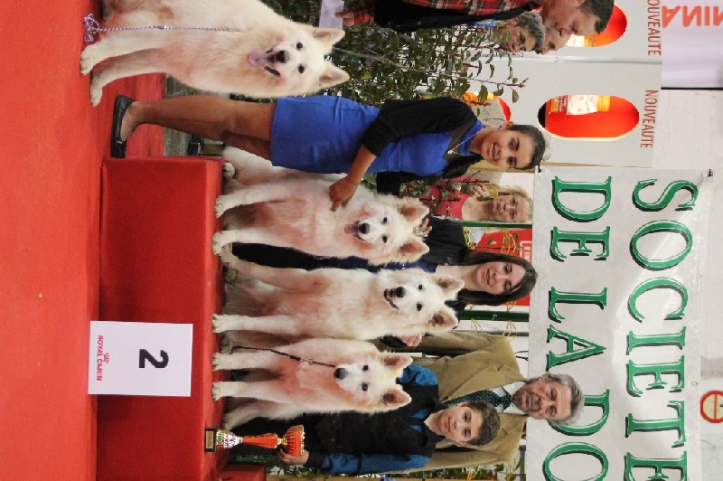 Enjoy Du domaine de la combe noire - 2 eme Meilleur lot de repro