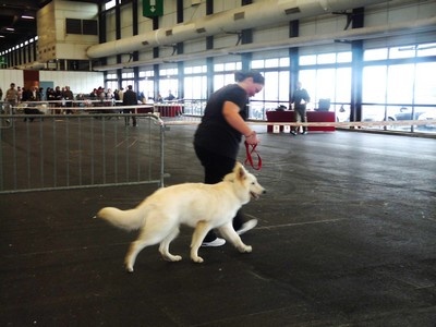 Enjoy Du domaine de la combe noire - Prometteur