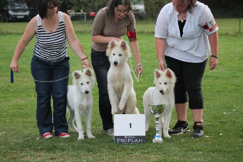 Enjoy Du domaine de la combe noire - Meilleur lot d'affixe " Des Gardiens du Dolmen "