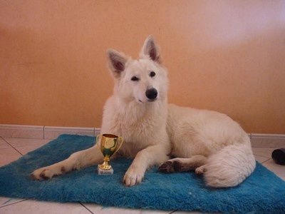 Enjoy Du domaine de la combe noire - Trés Prometteur