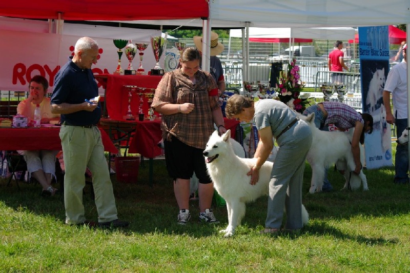 Enjoy Du domaine de la combe noire - 6 ème excellent