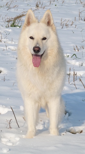 Enjoy Du domaine de la combe noire - très bon