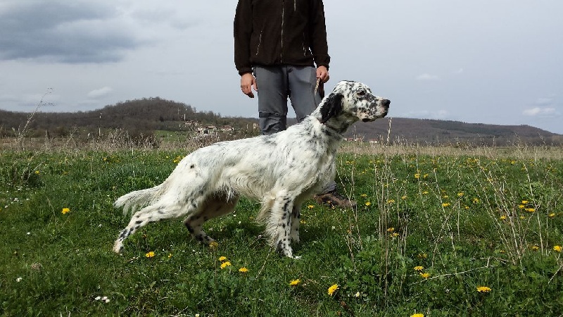 Publication : Mostitxualde