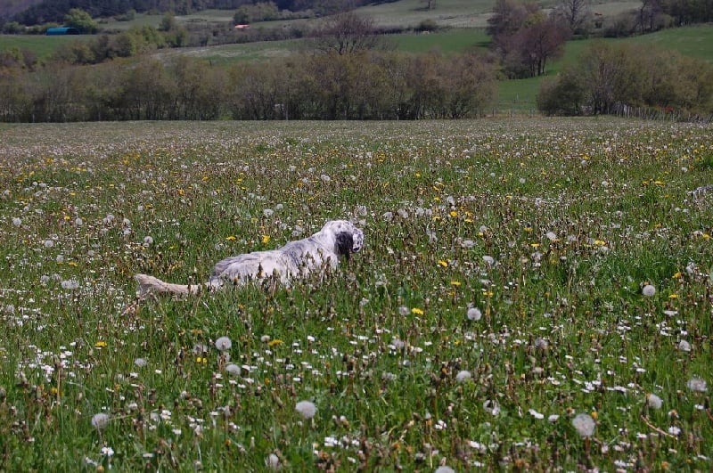 Publication : Mostitxualde