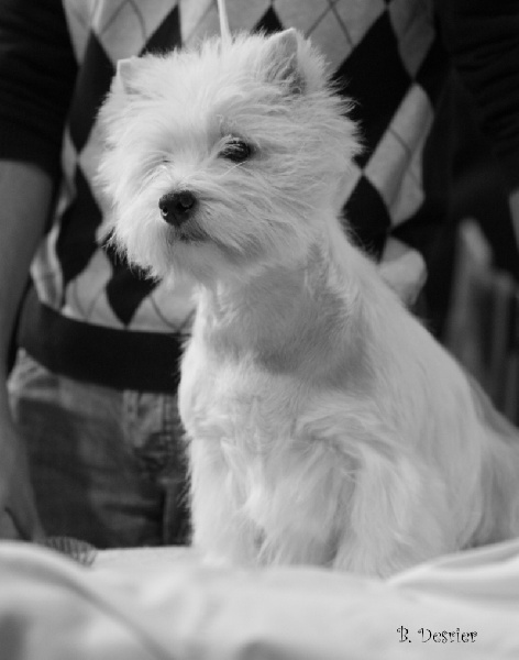 Publication : Live with hope