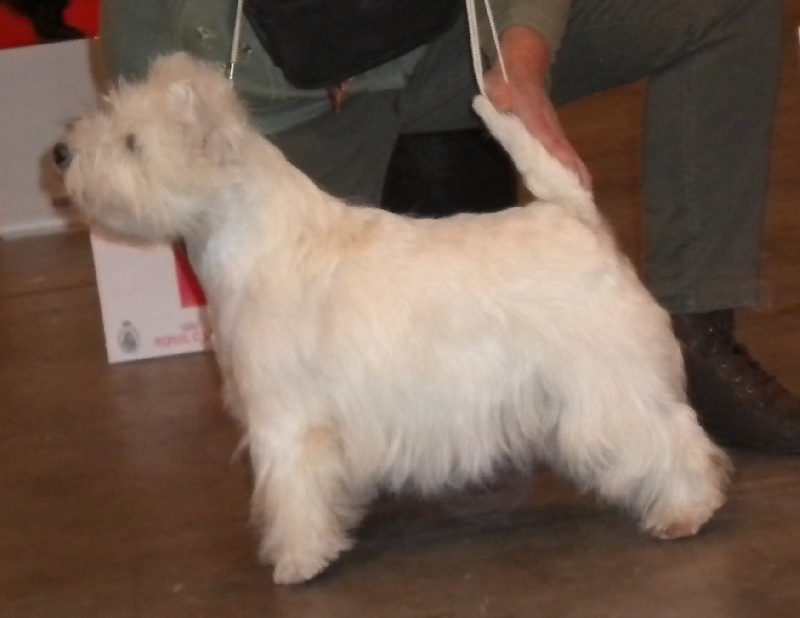 Publication : Live with hope