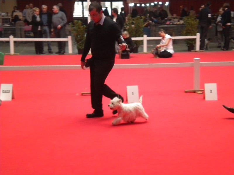 Publication : Live with hope