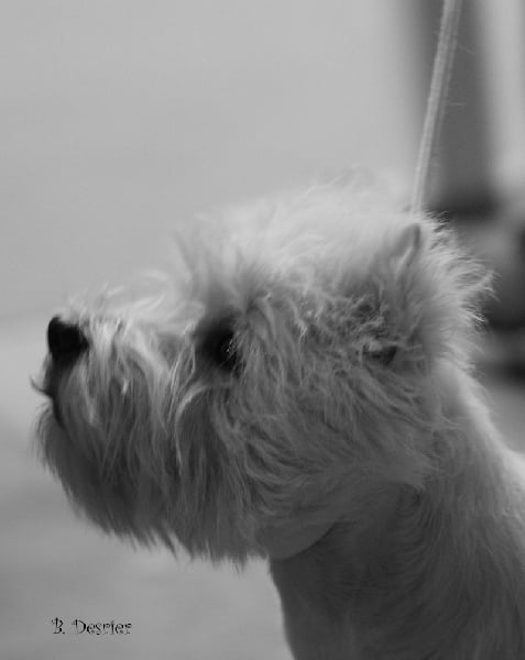 Publication : Live with hope