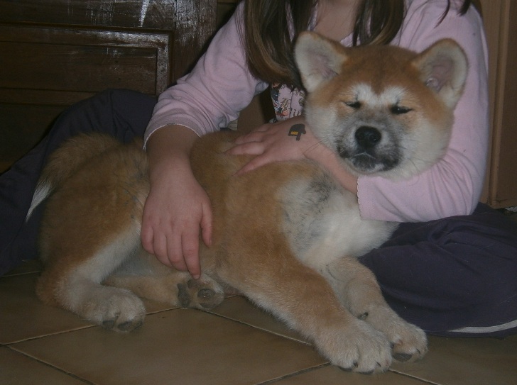 Publication : Des Terres Du Razès Auteur : Nat