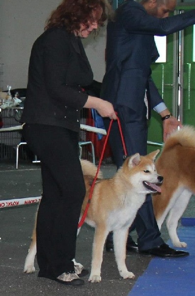 Publication : Des Terres Du Razès Auteur : Nat