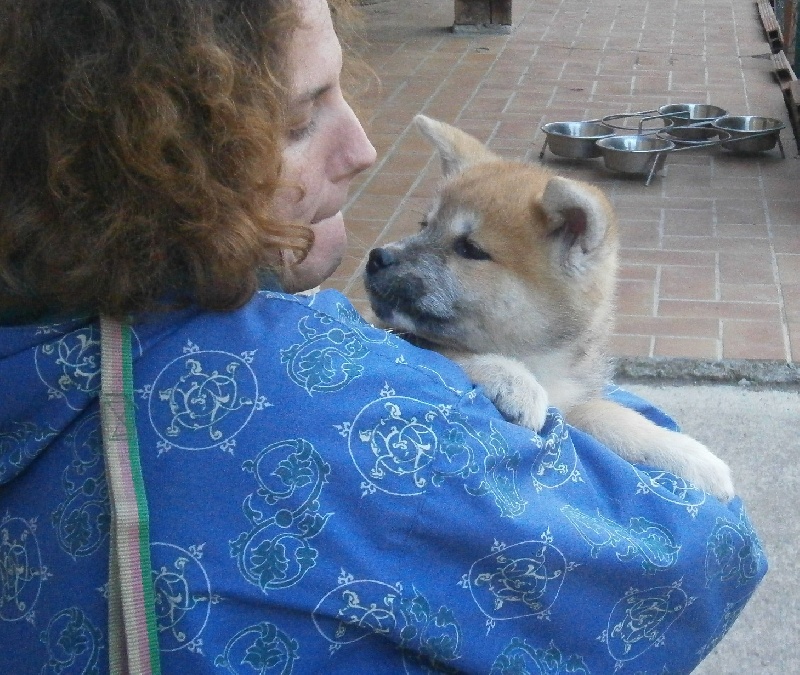 Publication : Des Terres Du Razès Auteur : Nat