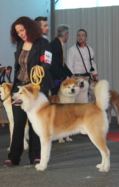 E'mauna of neko ken - Très bon