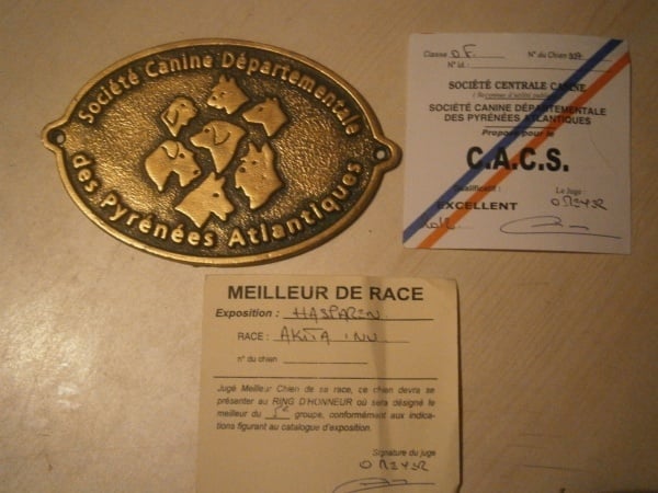 F'chiisai kuma de Kiboo Ken - Meilleure de race, CACS