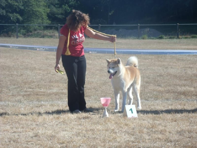 G'hachiko Des Terres Du Razès - meilleur de race, meilleur jeune de l'exposition
