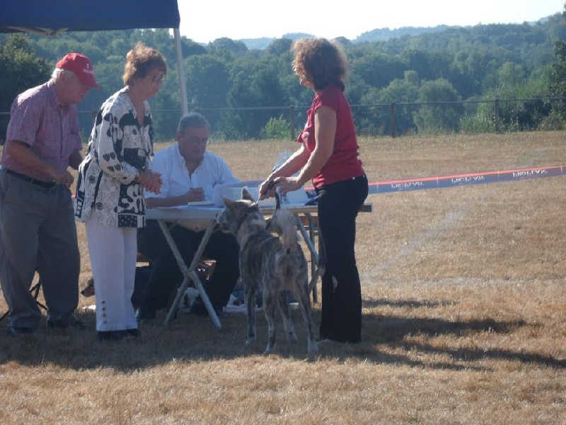F'chiisai kuma de Kiboo Ken - très bon classe intermédiaire