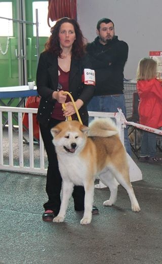 E'mauna of neko ken - Très bon