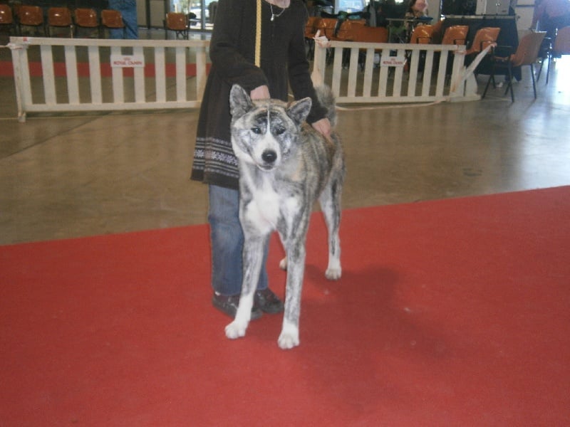 F'chiisai kuma de Kiboo Ken - 2ème excellent classe jeune