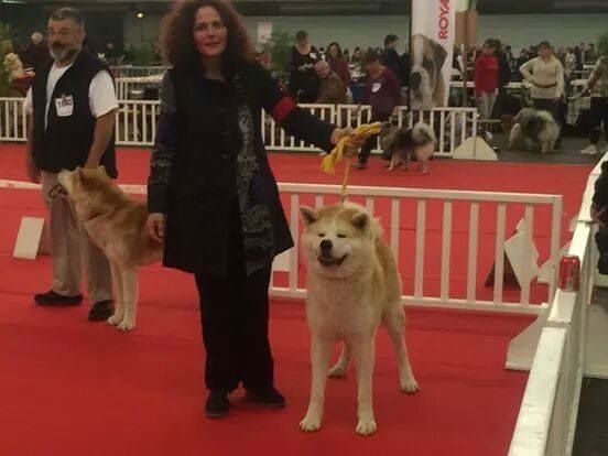 G'hachiko Des Terres Du Razès - 2ème excellent classe ouverte