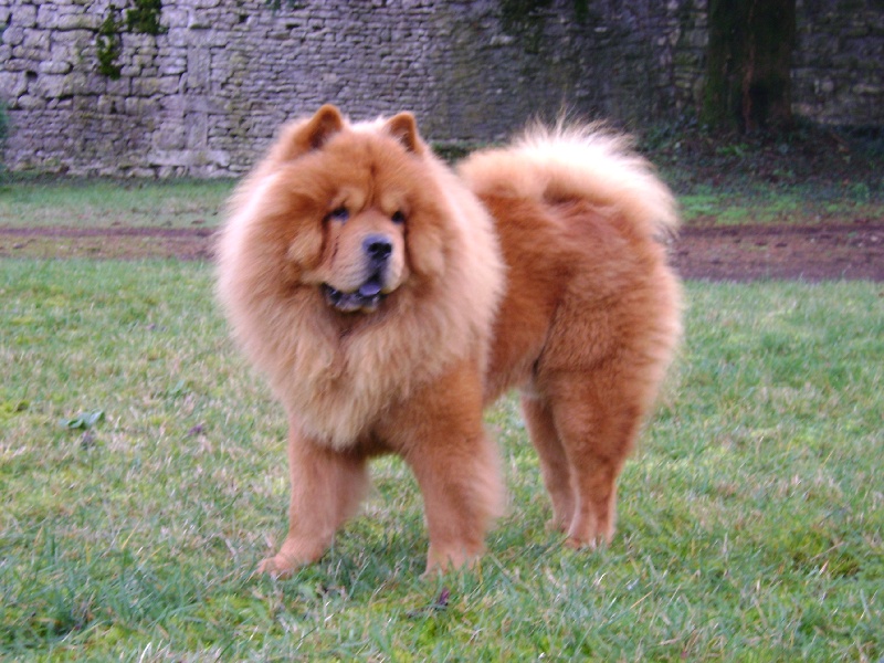 Publication : De Sagar Matha