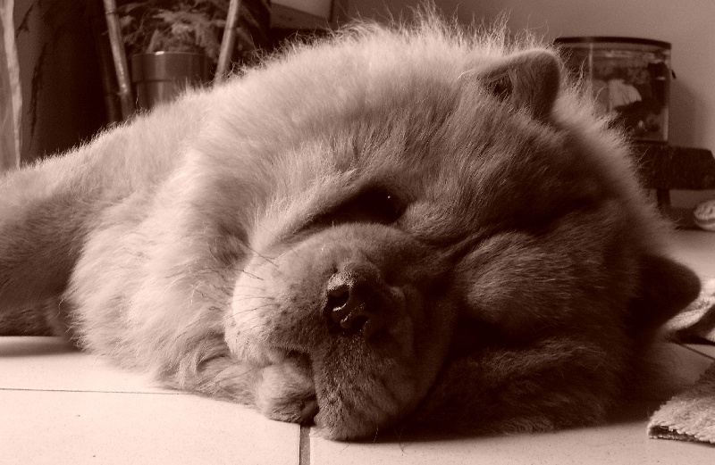 Publication : De Sagar Matha