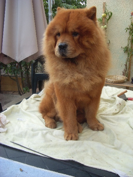 Publication : De Sagar Matha