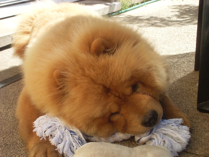 Publication : De Sagar Matha