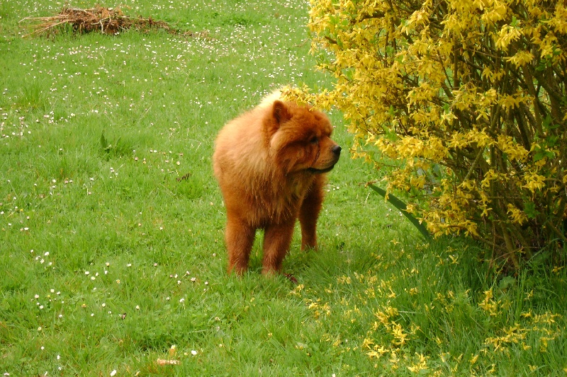 Publication : De Sagar Matha