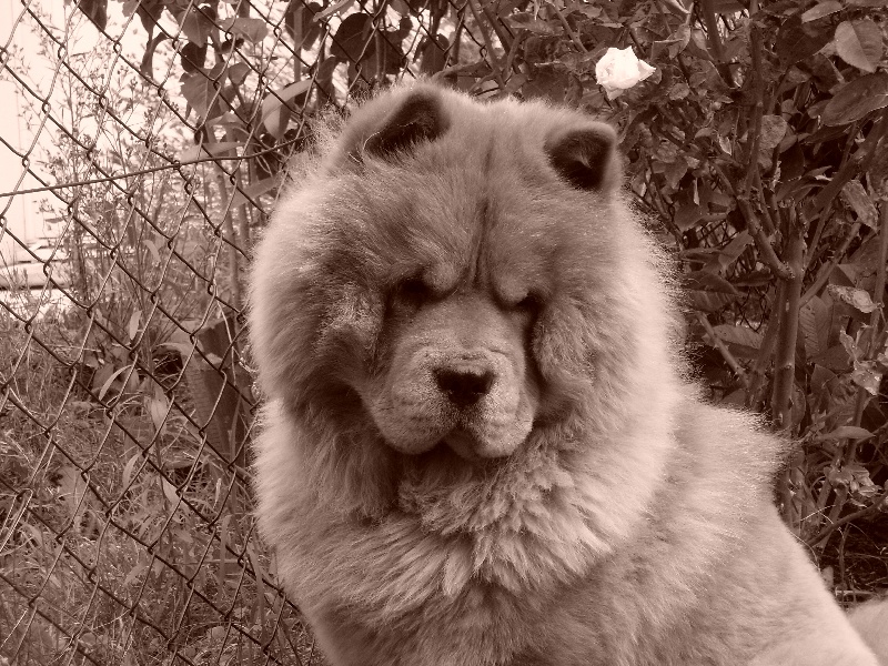 Publication : De Sagar Matha