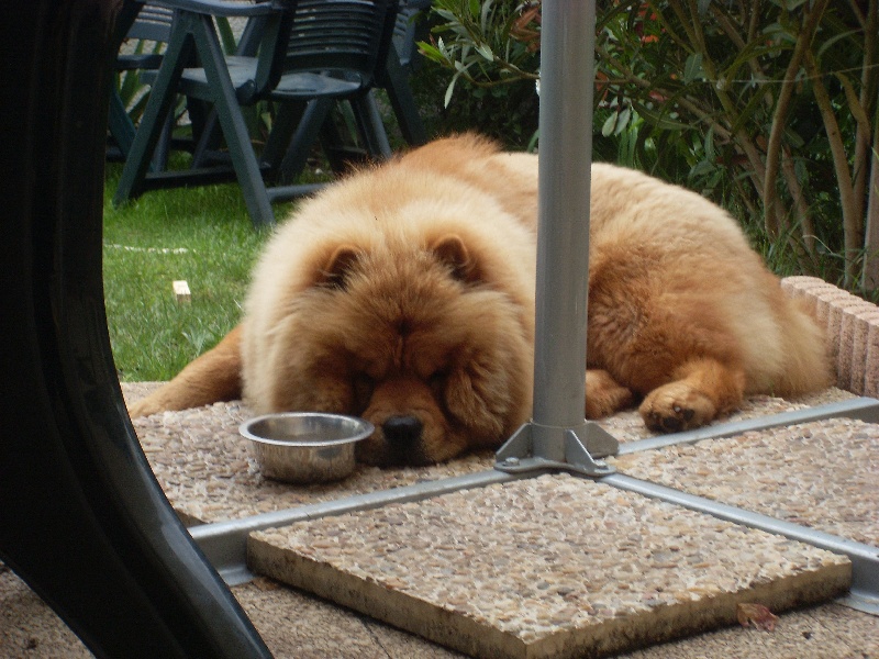 Publication : De Sagar Matha