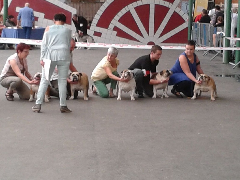 Fenngy doll du royaume de Camel - excellent