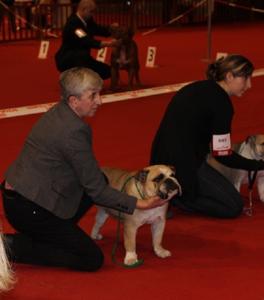 Fenngy doll du royaume de Camel - 5eme excellente sur 13