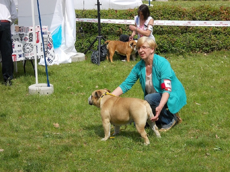 Fenngy doll du royaume de Camel - Très bon