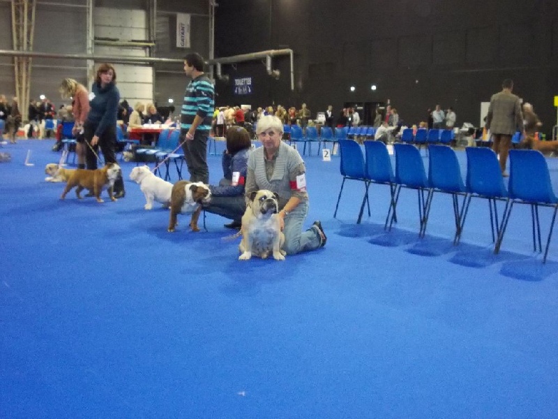 Fenngy doll du royaume de Camel - tres bon