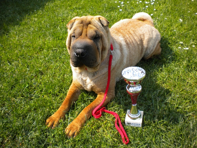 Eychaï (Sans Affixe) - 1ere excellente