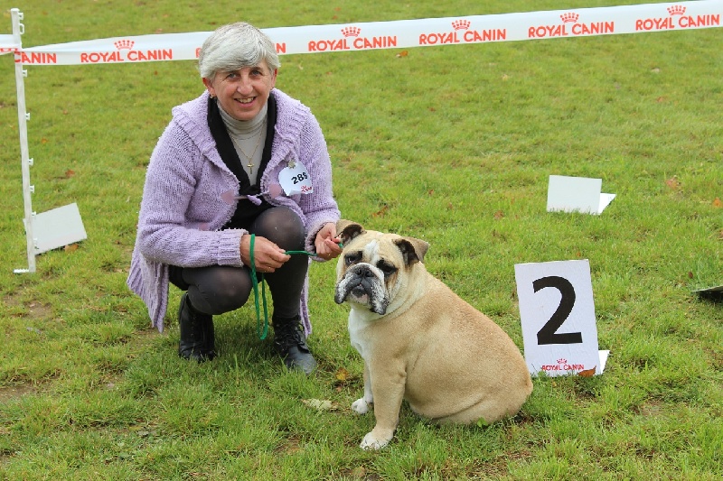 Fenngy doll du royaume de Camel - 2eme Très bon sur 9