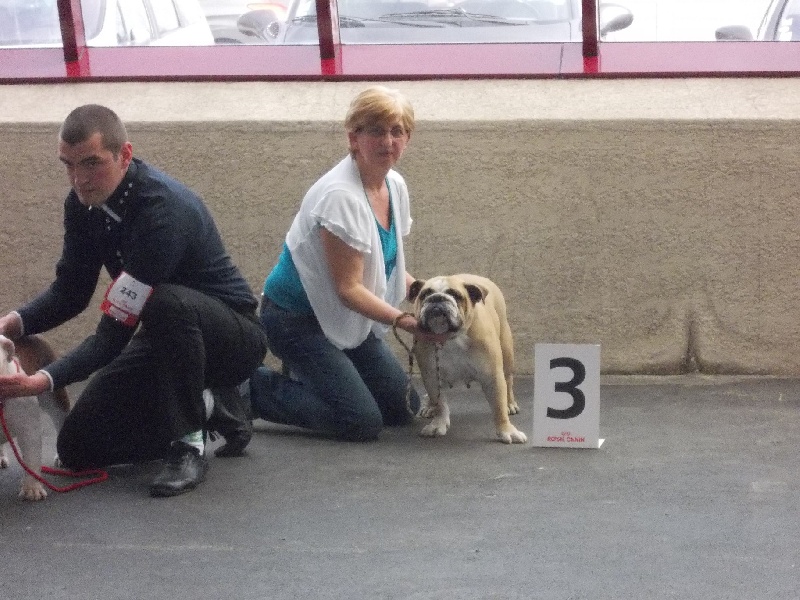 Fenngy doll du royaume de Camel - 3eme excellent