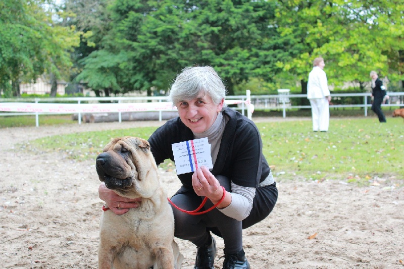 Eychaï (Sans Affixe) - 1ere excellente et CACS