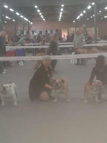 Fenngy doll du royaume de Camel - Très bon