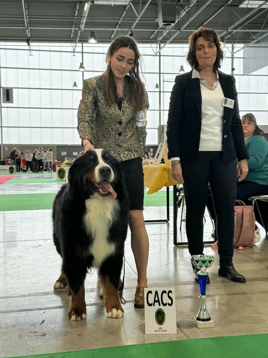 CH. Taram des Elfes Du Vent