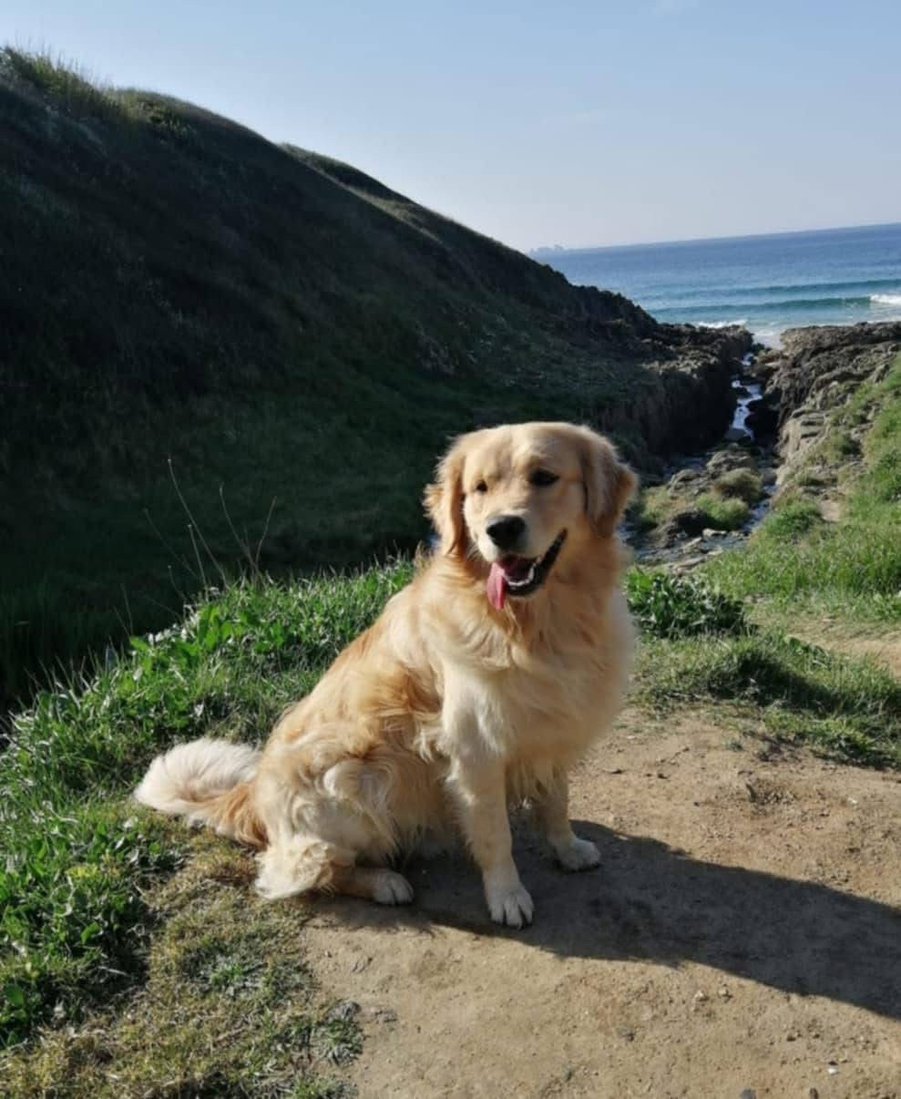 Uby des Elfes Du Vent