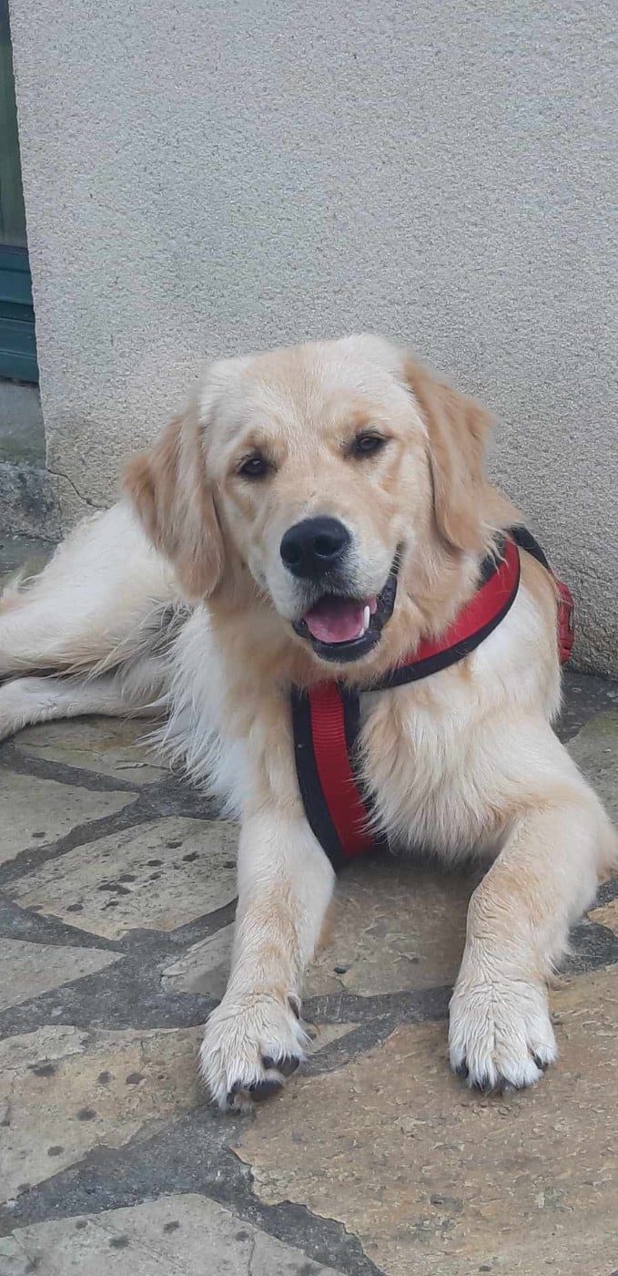 Uby des Elfes Du Vent