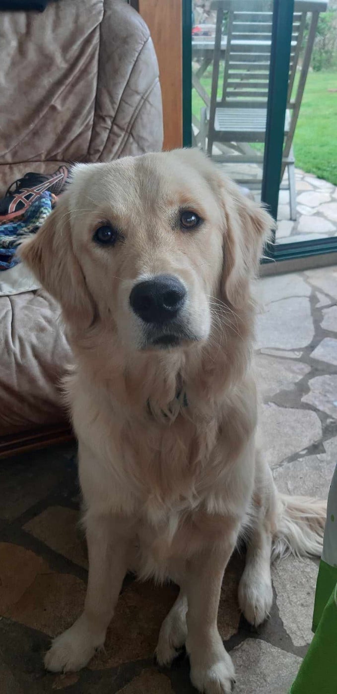 Uby des Elfes Du Vent