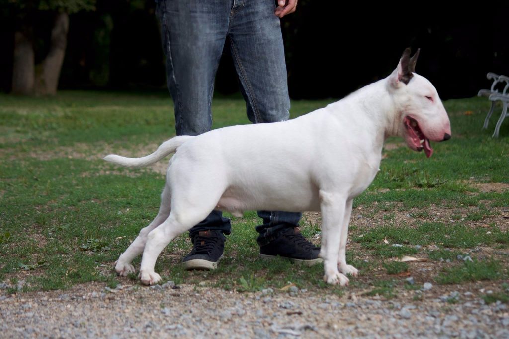 busell's Faith and science - 2ème Excellent Classe Ouverte