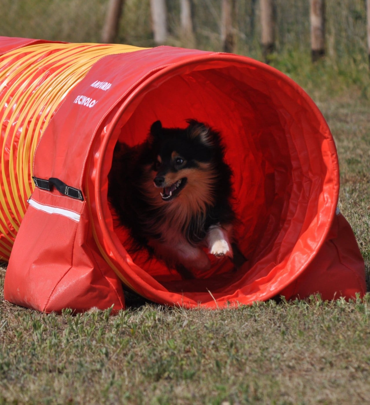 RACKHAM LE ROUGE Du Champ Paillot
